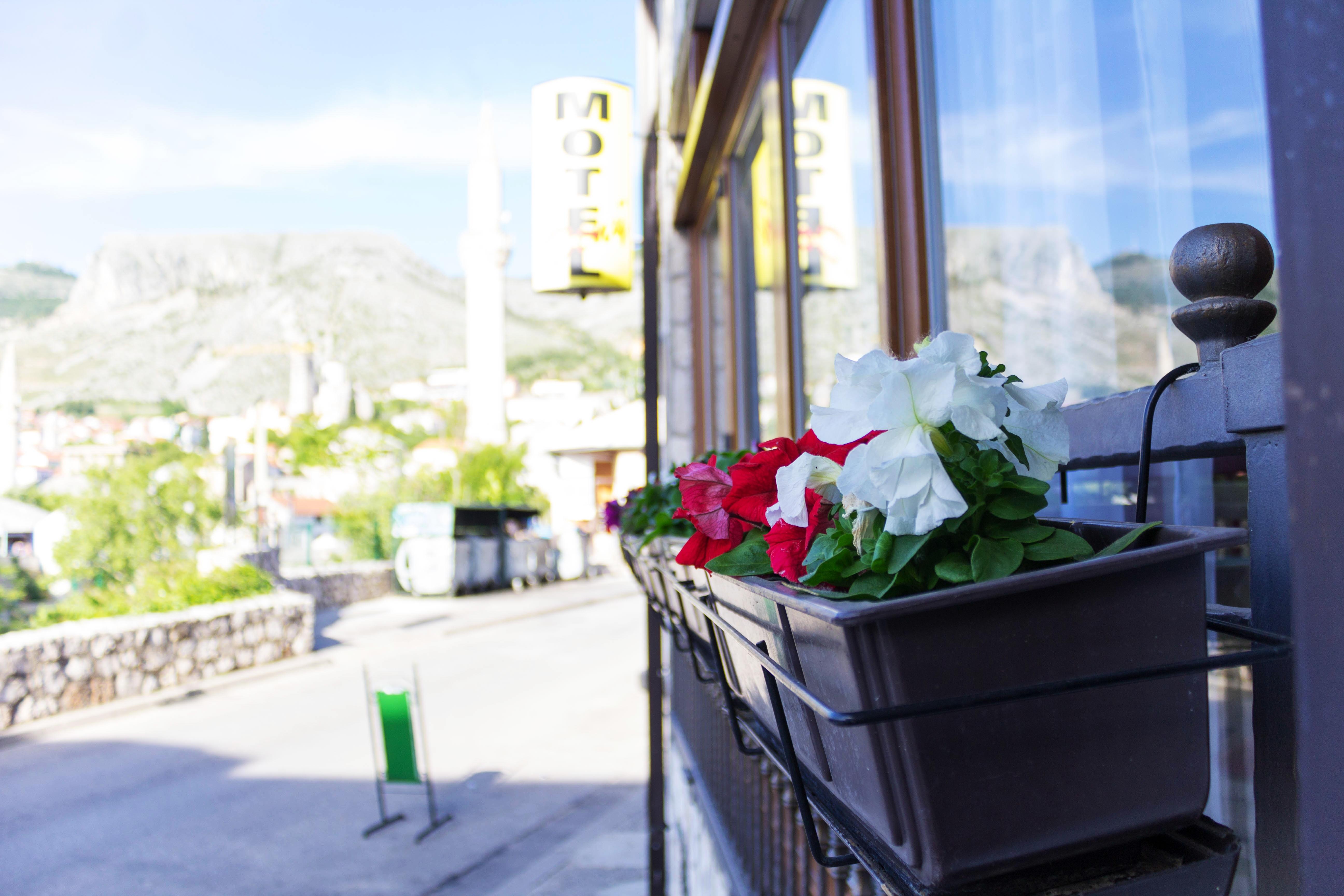 Villa Deny Mostar - With Free Parking Exterior foto